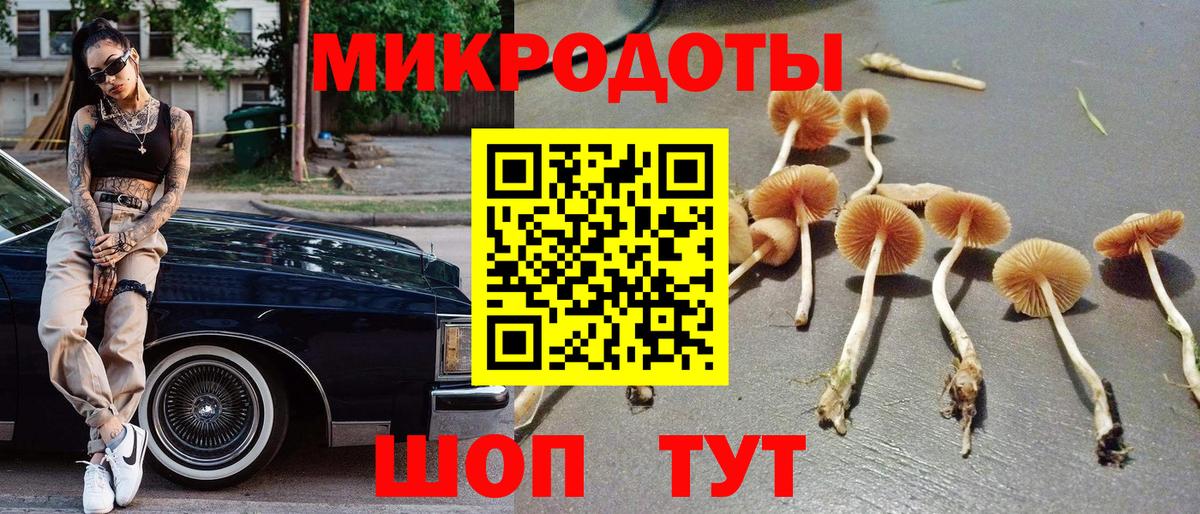Псилоцибиновые грибы прущие грибы  Вход с VPN  Чернушка 