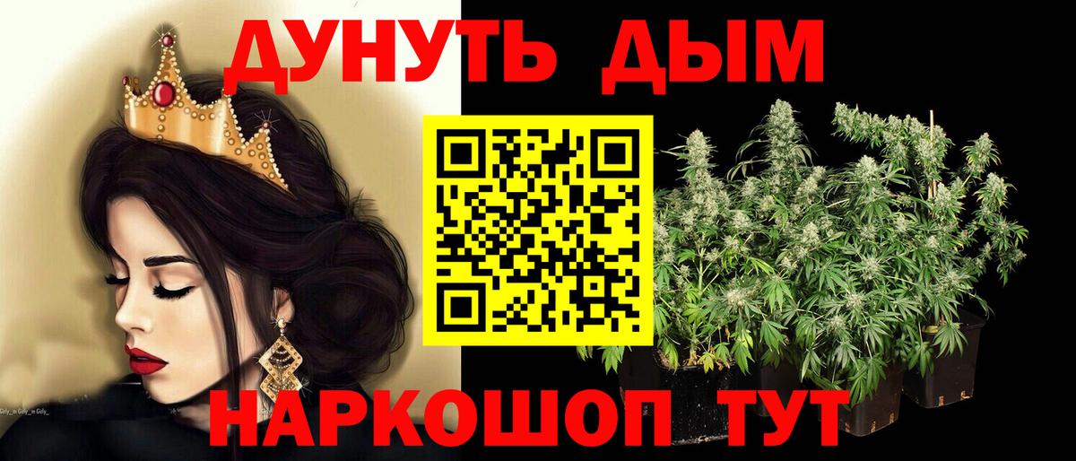 Чернушка  Канабис планчик  Конопля сатива  Вход с VPN 